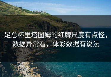 足总杯里塔图姆的红牌尺度有点怪，数据异常看，体彩数据有说法