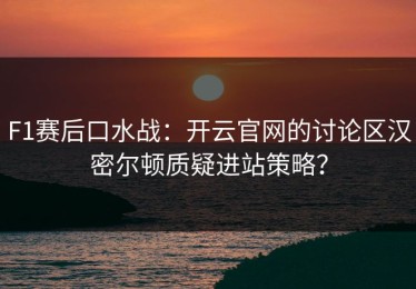 F1赛后口水战：开云官网的讨论区汉密尔顿质疑进站策略？