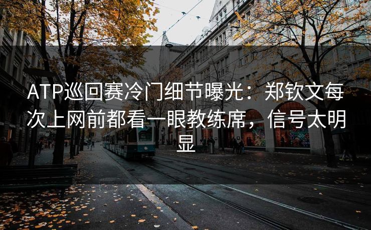 ATP巡回赛冷门细节曝光:郑钦文每次上网前都看一眼教练席,信号太明显 ATP巡回赛冷门细节曝光:郑钦文每次上网前都看一眼教练席,信号太明显